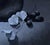 Abstract Achromatic by Blair Atherholt | Oil on Panel Still life of a black kettle with smoke and fruit For Sale - Image 3 of 5