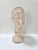 Classical Roman Vintage Roman Goddess Juno Classical Bust Sculpture – Austin Productions For Sale - Image 3 of 7