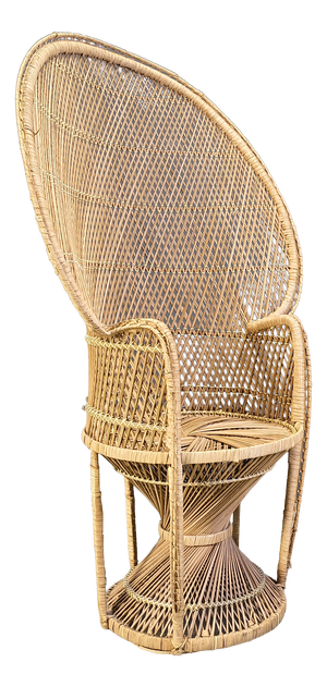 Vintage Wicker Peacock Chair, 1970s