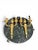 Elegant pair of French wall sconces crafted in finely chased gilt bronze during the early 20th century. Richly ornamented...