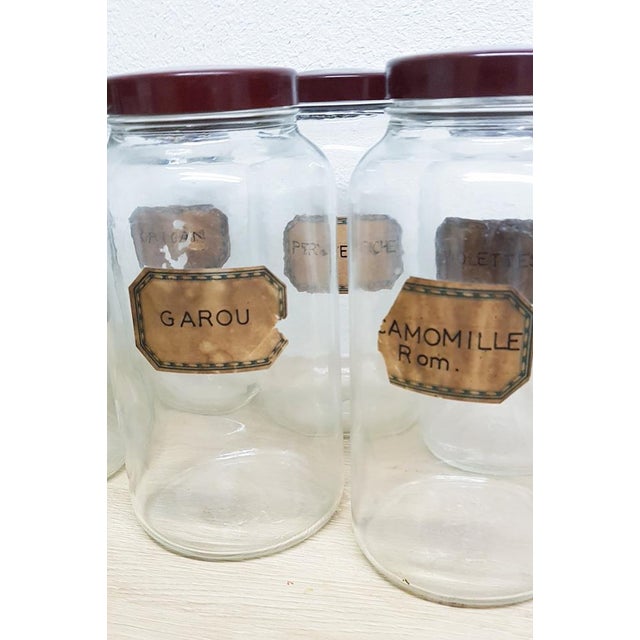 8 large glass shop dispensary canisters (3 litres), originally used to store plant extracts in a shop. They have their old...