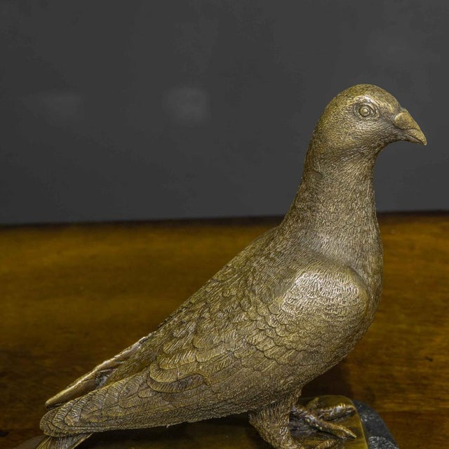 This is a twentieth century bronze figure of a racing pigeon, post war and extremely well cast. With no signs of a label...