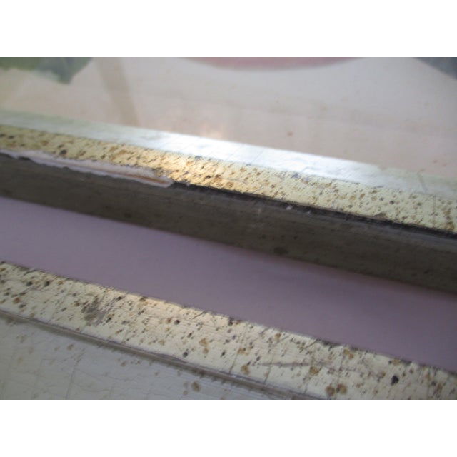 Early 19th Century George Brookshaw (1751-1823) Melon Prints Reproduction - Set of 4 Framed For Sale - Image 16 of 17