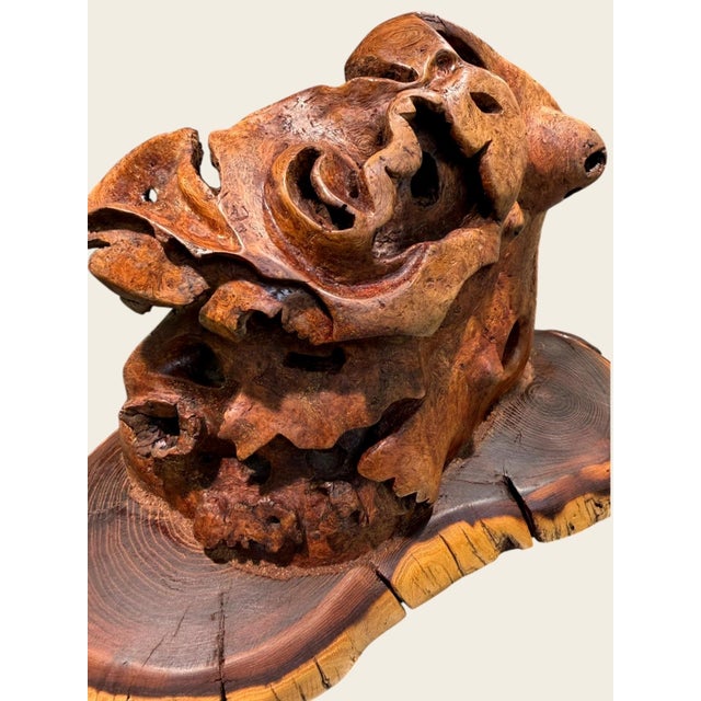 Vintage Burl Root Wood Abstract Sculpture Live Edge Base Organic Modern 17" For Sale - Image 10 of 15