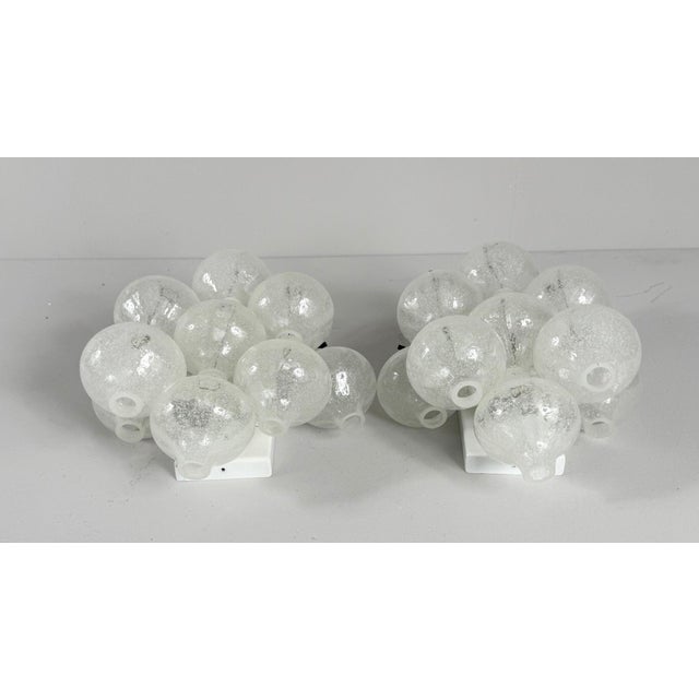 Vintage Tulipan Wall Lights from Kalmar Franken KG, Austria, 1960s, Set of 2 For Sale - Image 10 of 18