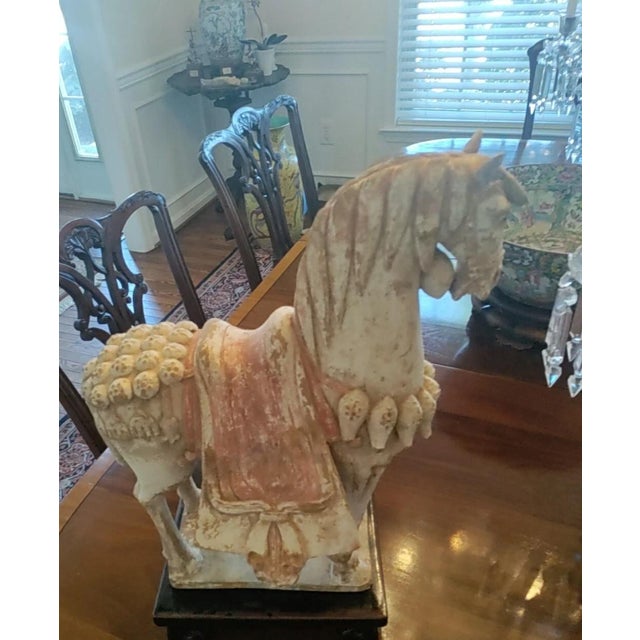 Tang Dynasty Terracotta Pottery Horse, For Sale - Image 9 of 10