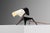 Black French Dog Lamp by Jean Boris Lacroix for Disderot, 1950 For Sale - Image 8 of 18