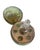 An enchanting 19th century French mercury glass liqueur cave fashioned in the form of an oversized egg. The shimmering...