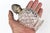 Metal Victorian John Grinsell and Sons Sterling Silver Mounted Crystal Scent Bottle For Sale - Image 7 of 7