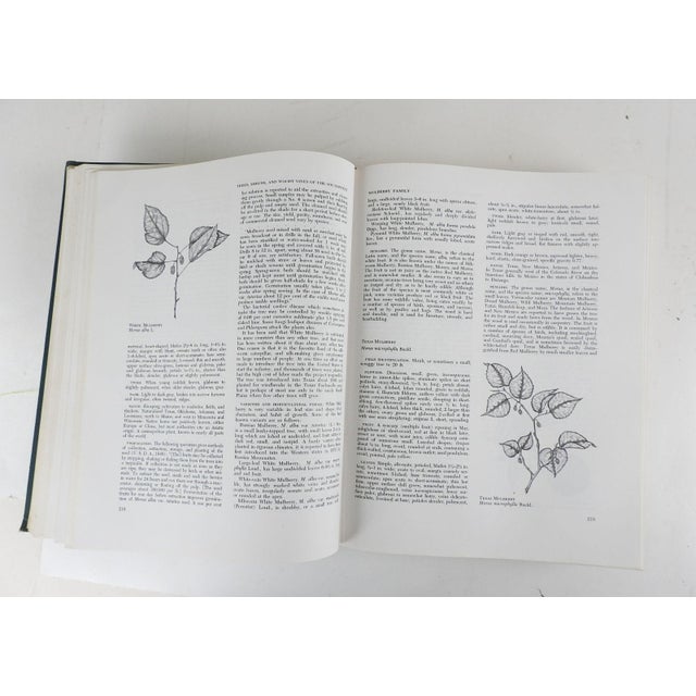 1960 Trees, Shrubs, and Woody Vines of the Southwest Book Chairish