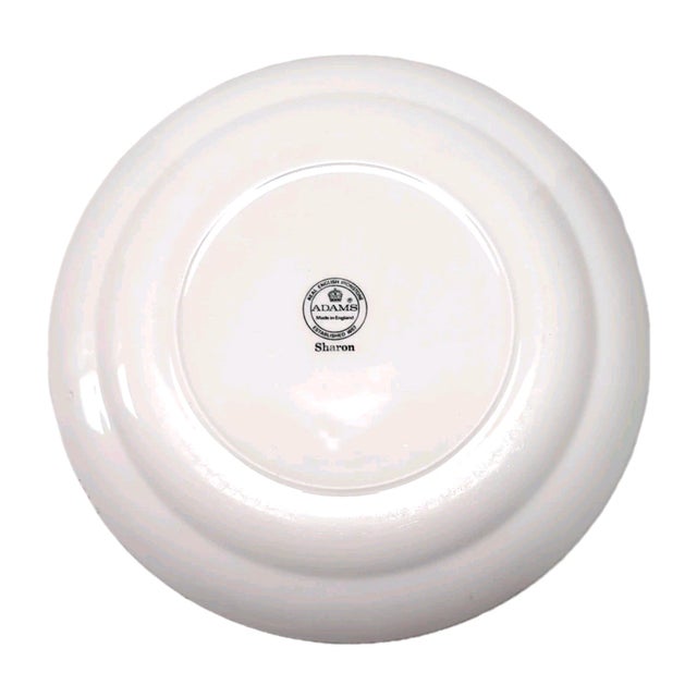 1980s Vintage Adams Sharon Ironstone Replacement Dinner Plates Shamrocks 10 in 25.5 Cm Retired Pattern - Set of 4 For Sale - Image 5 of 8