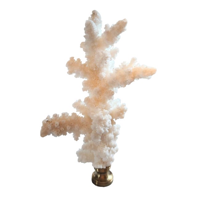 Contemporary Natural Coral Lamp Finial on Brass Hardware Chairish