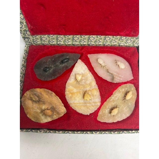 Chinese Vintage Boxed Set of Carved Jade Insect Leaves For Sale - Image 3 of 8