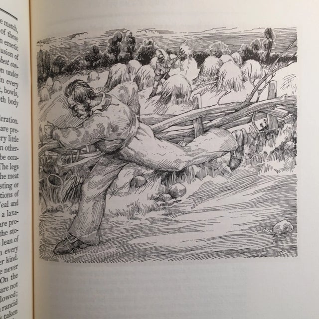 Brown Selections From the Fancy 1972 For Sale - Image 8 of 10