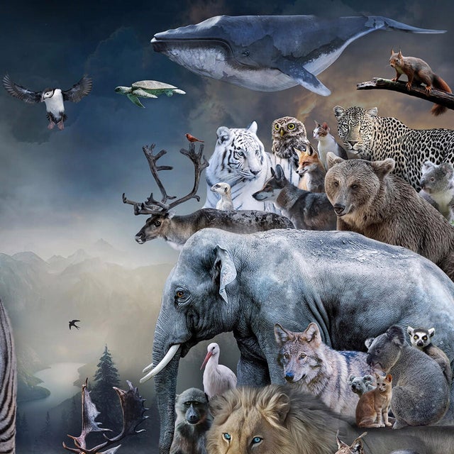 Early 21st Century The Golden Age II by Marcin Owczarek | Photography of various wildlife in a surreal landscape For Sale - Image 5 of 5
