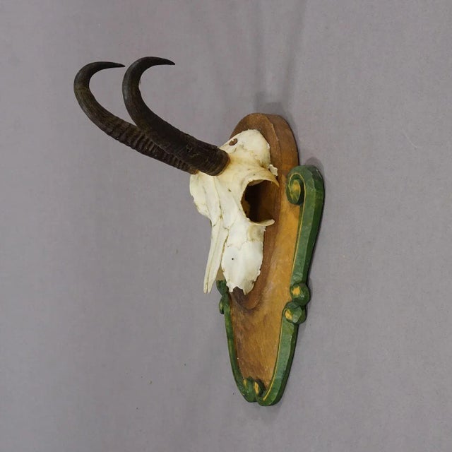 Rustic European Vintage Black Forest Chamois Trophy on Carved Plaque Ca. 1950 For Sale - Image 3 of 6