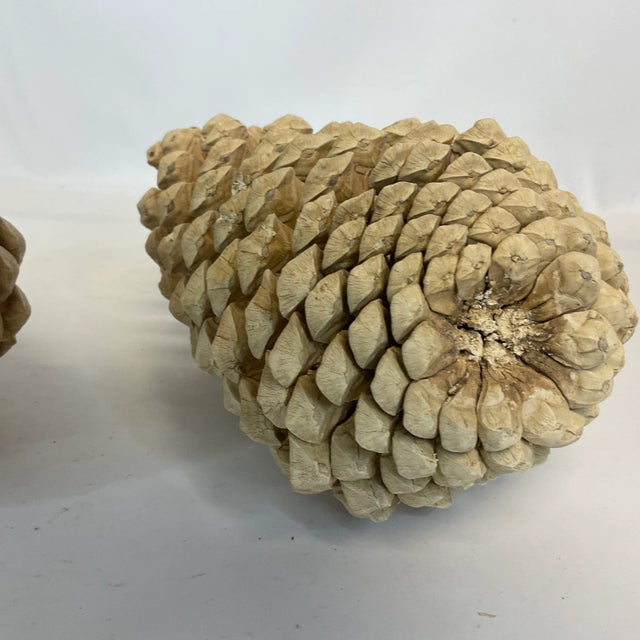 Almond Vintage Arts & Crafts Farmhouse Americana Bleached Pinecones - A Pair, Thanksgiving For Sale - Image 8 of 11