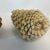 Almond Vintage Arts & Crafts Farmhouse Americana Bleached Pinecones - A Pair, Thanksgiving For Sale - Image 8 of 11