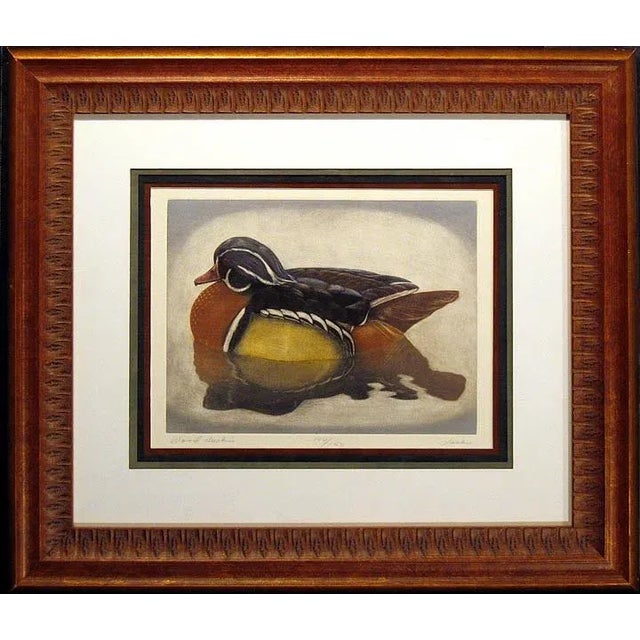 Geoffrey Lasko "Wood Duck" Realistic Hand Signed Limited Edition Framed Etching For Sale