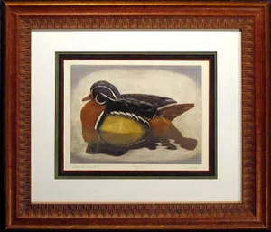 Geoffrey Lasko "Wood Duck" Realistic Hand Signed Limited Edition Framed Etching