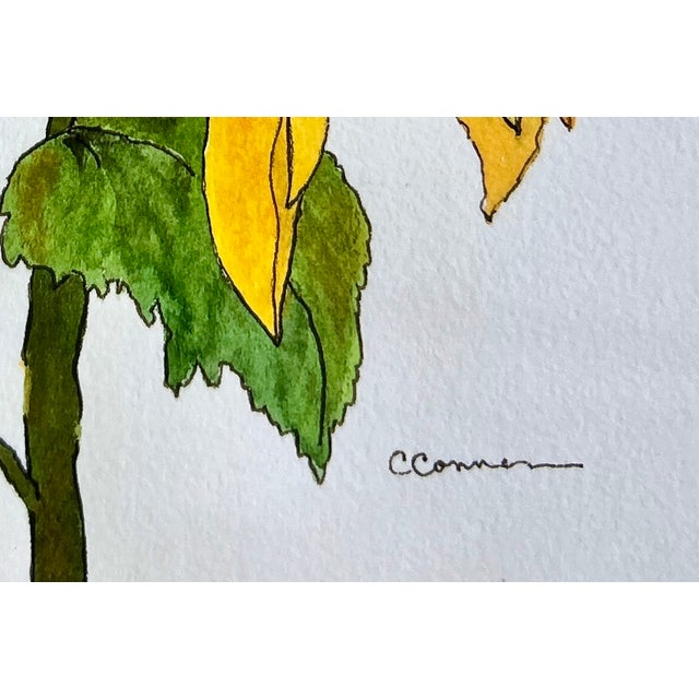 Watercolor Painting Giclee Golden Sunflower Print For Sale - Image 4 of 4