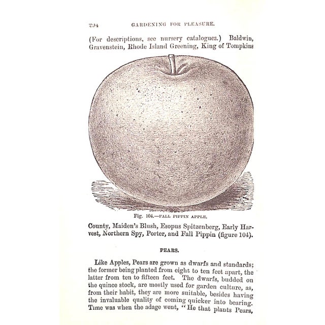 "Gardening for Pleasure" 1918 Henderson, Peter For Sale - Image 10 of 10