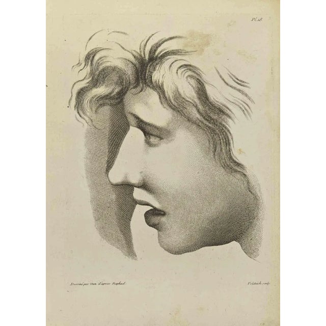 Jean François Poletnich, Portrait after Raphael, Etching, 1755 For Sale