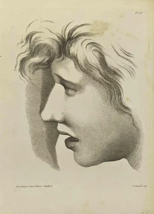 Jean François Poletnich, Portrait after Raphael, Etching, 1755