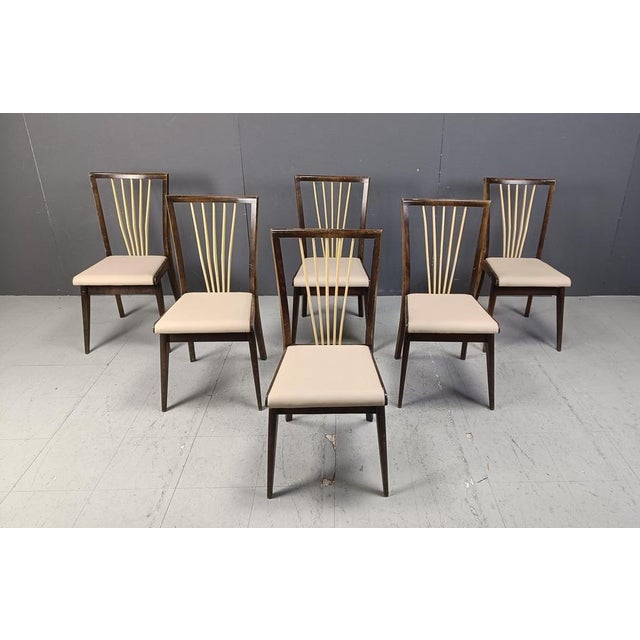 Mid-Century Italian Dining Chairs, 1950s, Set of 6 For Sale - Image 3 of 16