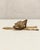 Vintage Brass Fox Door Knocker For Sale - Image 13 of 15