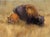 This oil on canvas piece depicts a bison and a prairie dog nestled in a sunlit, grassy landscape, evoking a sense of...