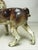 Cast Iron Hubley Boston Terrier Doorstop For Sale - Image 14 of 15