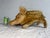 Large Vintage Handmade German Steiff Mohair Dalle Boar Pig Stuffed Animal 23 In. For Sale In New York - Image 6 of 16