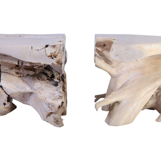 2020s Organic Modern Sculptured Teak Root Coffee Table Base - 2 Pieces For Sale - Image 5 of 7