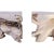 2020s Organic Modern Sculptured Teak Root Coffee Table Base - 2 Pieces For Sale - Image 5 of 7