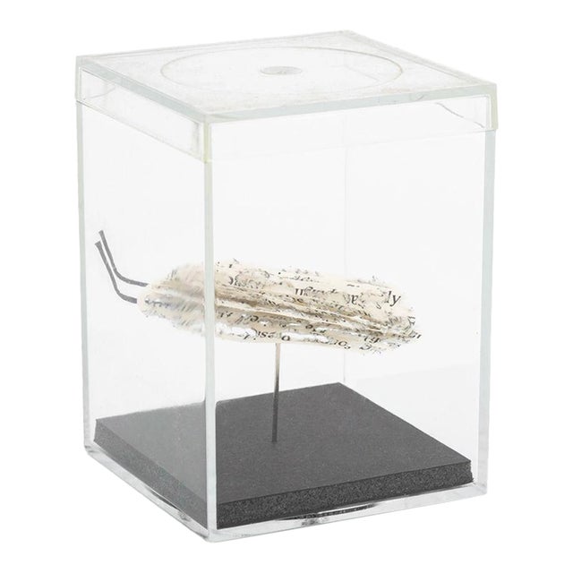 Doug Beube Book Bug Paper and Steel Pin Sculpture For Sale