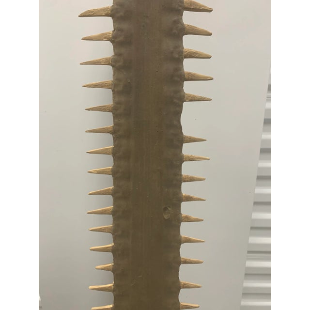 Set of 2 Faux Sawfish Bill Rostrums on Metal Stands, 1980s For Sale - Image 11 of 11