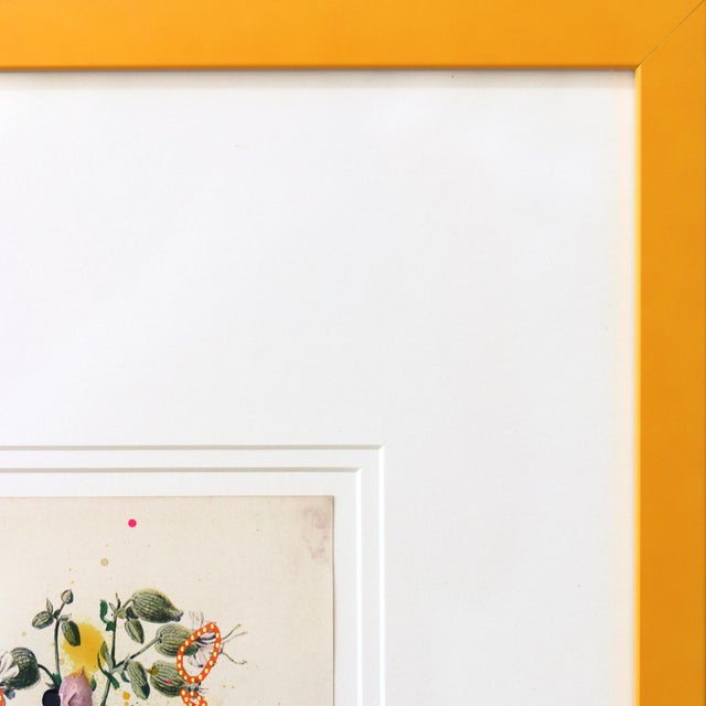 2020s Bladder Campion - Yellow Framed Floral Artwork on Antique Botanical Book Page Artwork by Lee Herring For Sale - Image 5 of 9