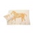 Contemporary Polo Pony Alpaca Pillow - Gold & Ecru For Sale - Image 3 of 5