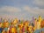 Antonio Bencich, Panorama of the Metropolis, 2002, Oil on Canvas For Sale - Image 4 of 12