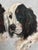 Portrait of English Setters, Signed Ole Larsen, 1949 For Sale - Image 4 of 8
