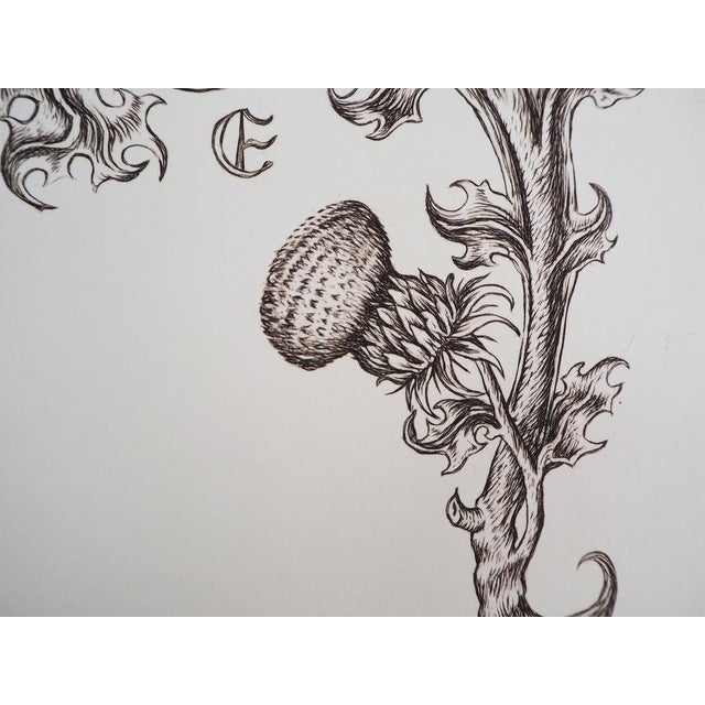 Cécile Reims, Bloom, 20th Century, Etching For Sale - Image 6 of 7