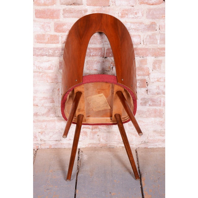 Mid-Century Walnut Chairs from Antonín Šuman, Czech, 1950s, Set of 4 For Sale - Image 15 of 18