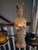 Chinese Vintage Tang-Style Terracotta Court Lady Figurine For Sale - Image 3 of 7
