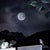 Early 21st Century Save Our Future II by Marcin and Kate Owczarek | Digital Art of a woman with a cat head by mailboxes For Sale - Image 5 of 5