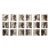Set of 18 Blurred Antique Profiles — Archival Prints of Restored Antique Photographs For Sale