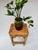 Vintage bamboo plant stand or small side table with a narrow rectangular form, slatted bamboo top, wrapped apron and lower...