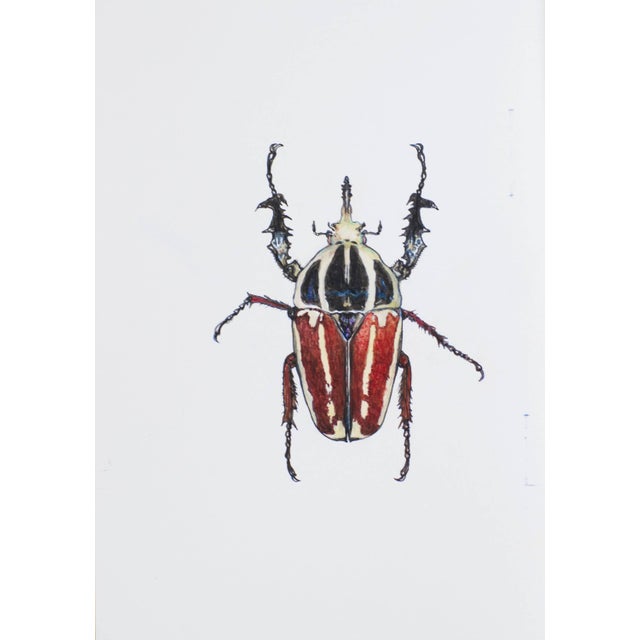 Contemporary Juris Utans, White-Red Beetle, 2021, Mixed Media on Paper For Sale - Image 3 of 3