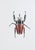 Contemporary Juris Utans, White-Red Beetle, 2021, Mixed Media on Paper For Sale - Image 3 of 3