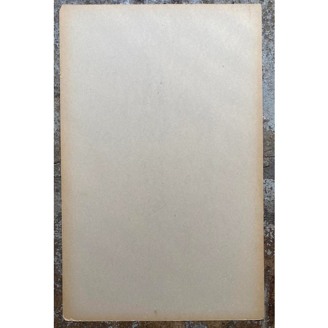 Vintage Hilary Keith Irene Starring Debbie Reynolds For Sale - Image 6 of 7